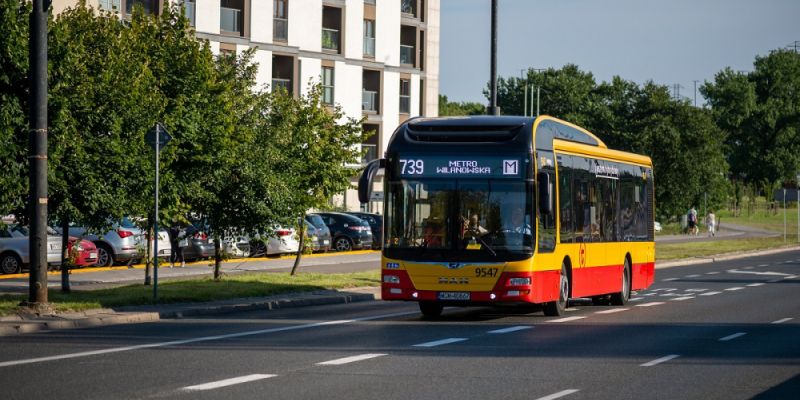 Rok z buspasem na Puławskiej