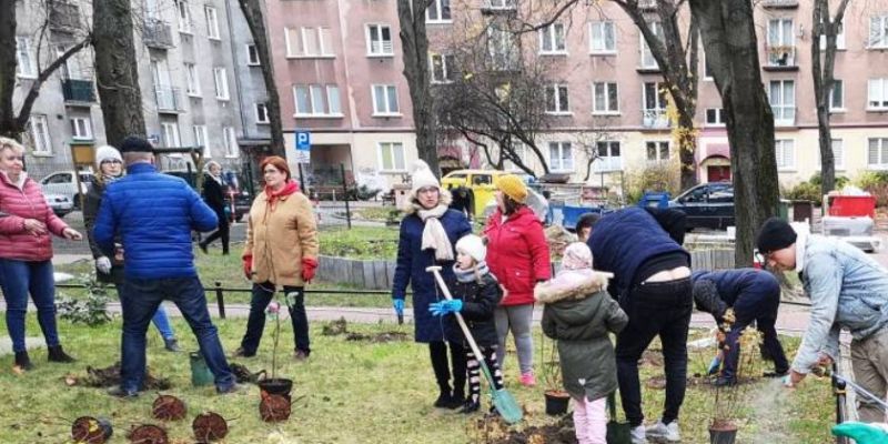 Sadzenie roślin na Ochocie