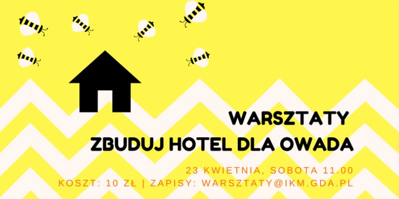 Zbuduj hotel dla owada!