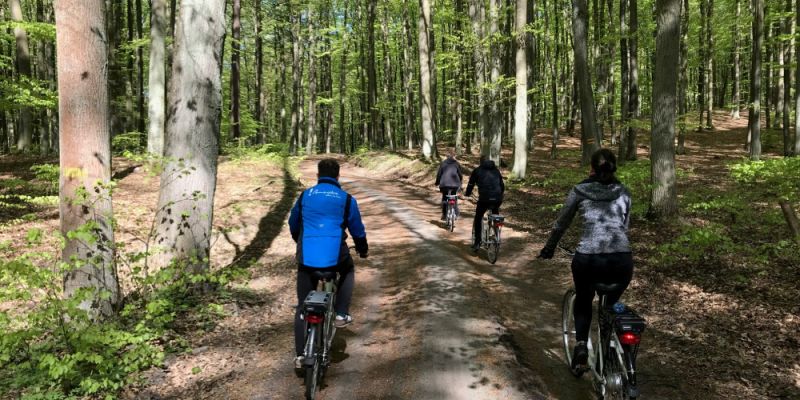 Leśne szlaki rowerowe zmodernizowane