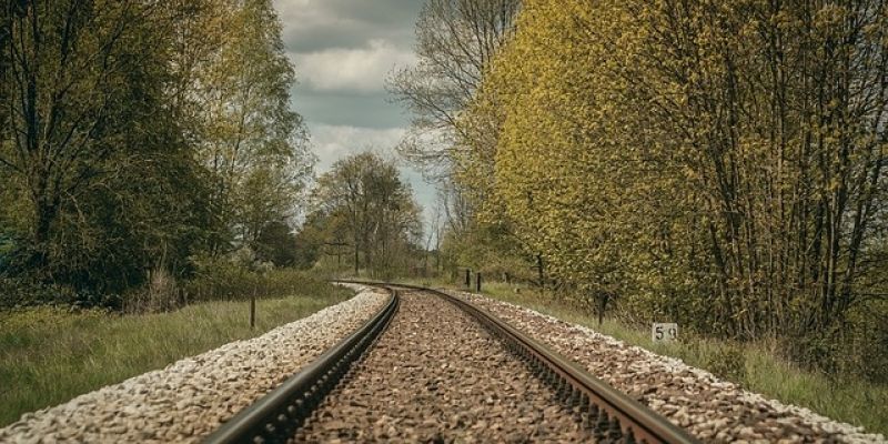 Wola interweniuje w sprawie planowanej przez PKP wycinki drzew na Odolanach