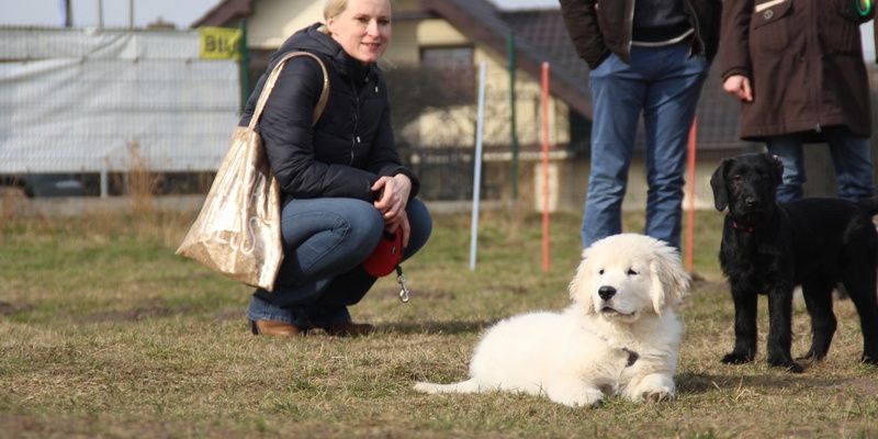 Jak dobrze zrozumieć swojego czworonoga?