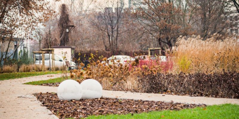 Więcej zieleni na Pradze-Północ, powstanie kolejny park kieszonkowy