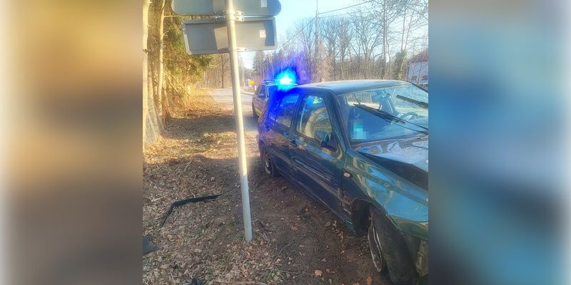 18-latek uderzył samochodem w drzewo. Próbował zrzucić winę na przebiegające sarny