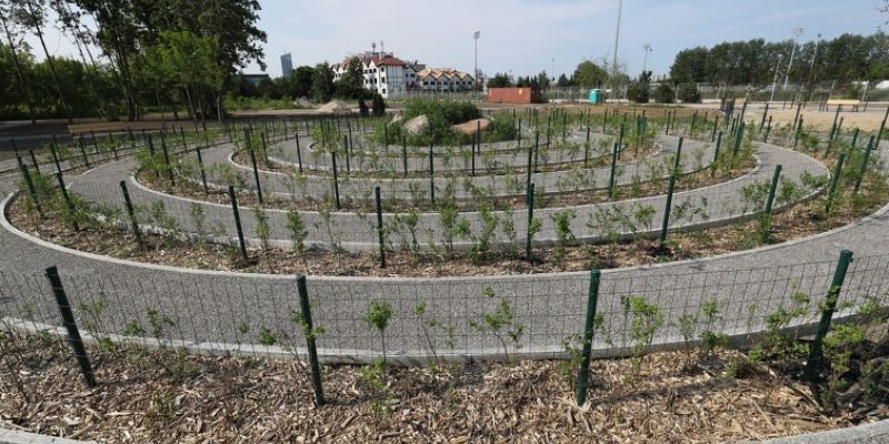 Teren dawnego OKAZu pięknieje dzięki decyzji mieszkańców