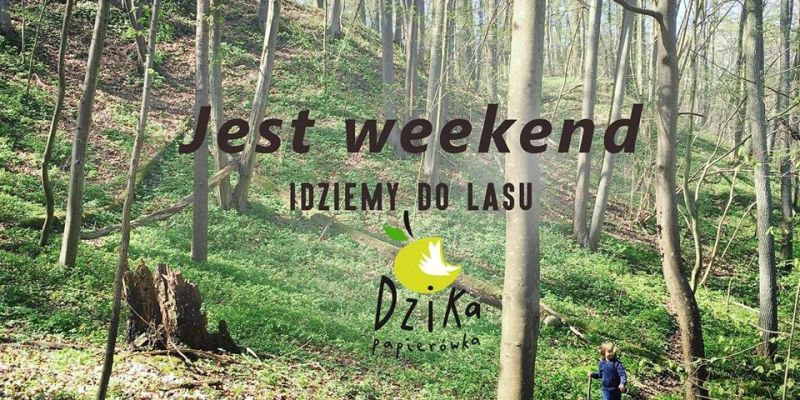 Idziemy do lasu zimą