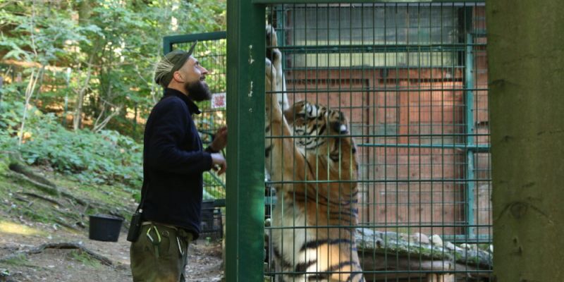 Pokazy karmienia i spotkania z opiekunami zwierząt w ZOO