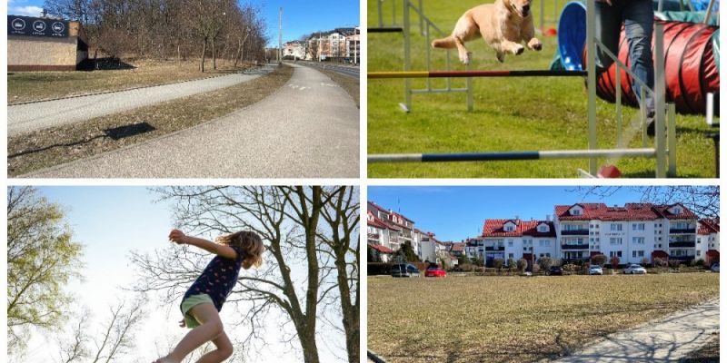 Dwie strefy aktywności w Dąbrowie