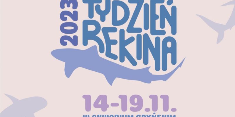 Tydzień Rekina w Akwarium Gdyńskim