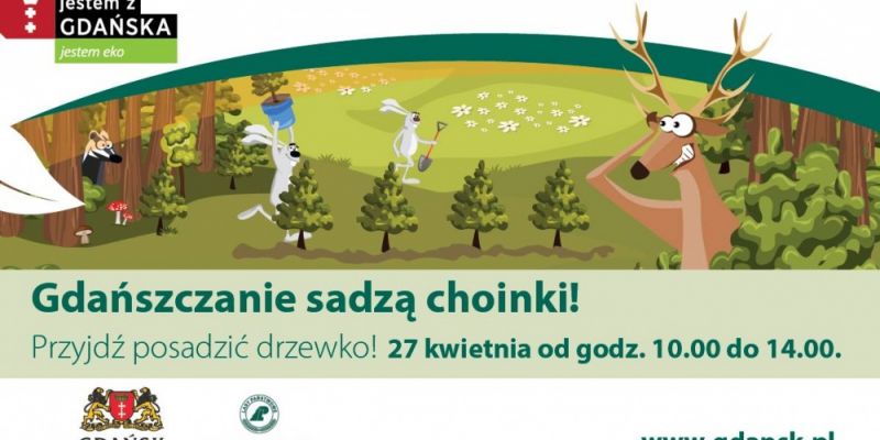 Gdańszczanie sadzą choinki!