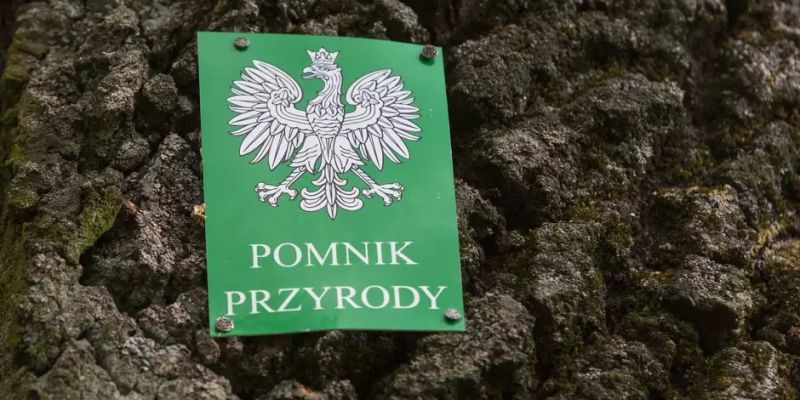 Aleja wielkich dębów jako nowy pomnik przyrody - dzięki mieszkańcom