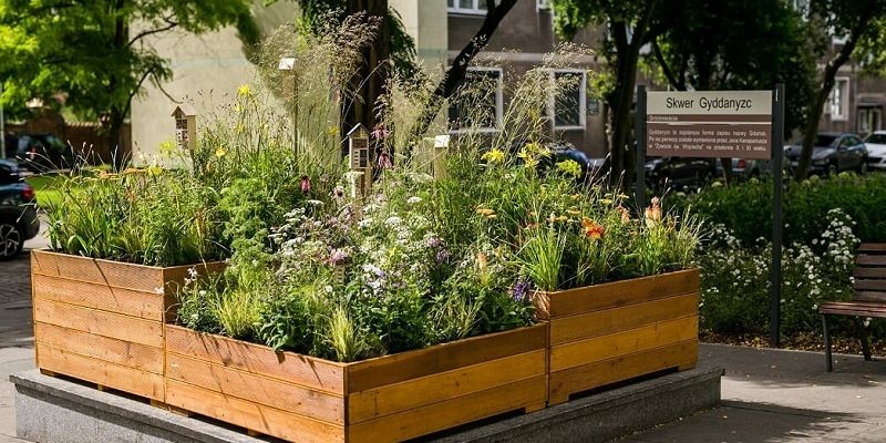 Zero waste i rośliny miododajne