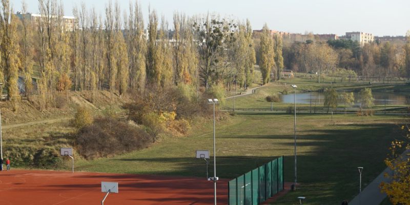 Powstaje nowy skatepark w Jarze Wilanowskim