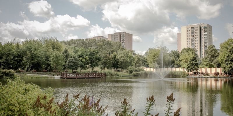 Warszawa inwestuje w naturę