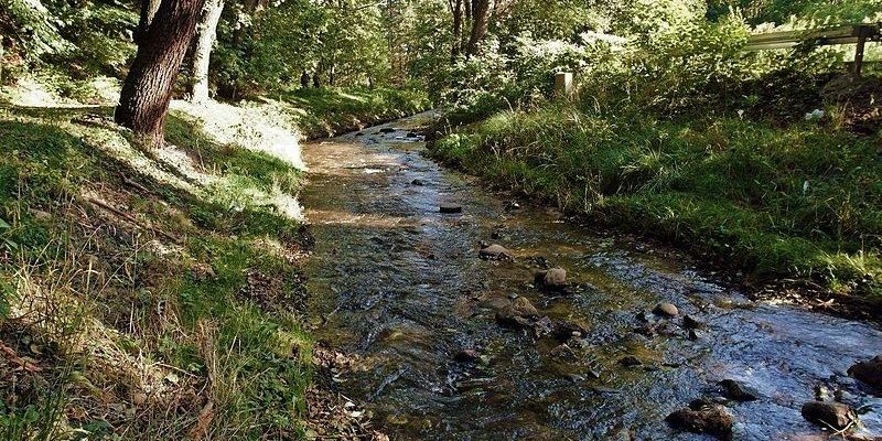 Gdynia zawiadomi prokuraturę w sprawie rzeki Kaczej