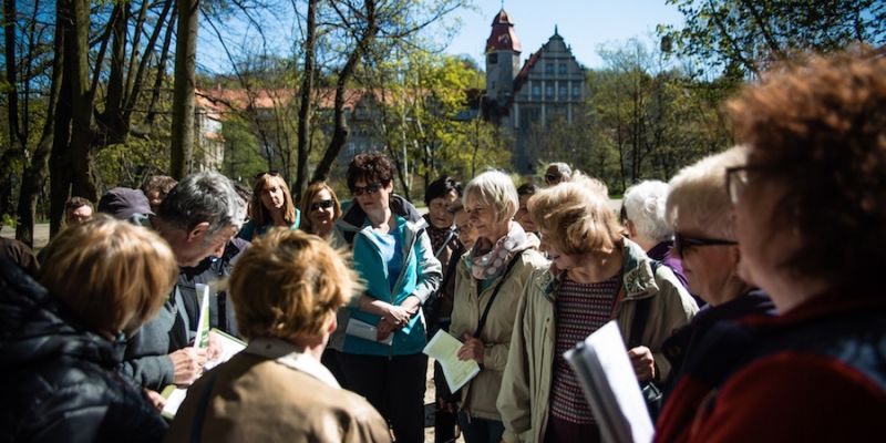 Zielone miasto Gdańsk. Na szlaku jesionów w Oliwie