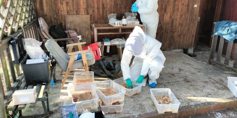 Nielegalna fabryka narkotyków w Nieporęcie zlikwidowana: Policja przejęła 70 kilogramów mefedronu