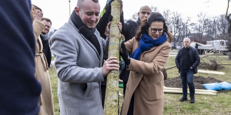 Gdańsk bardziej zielony