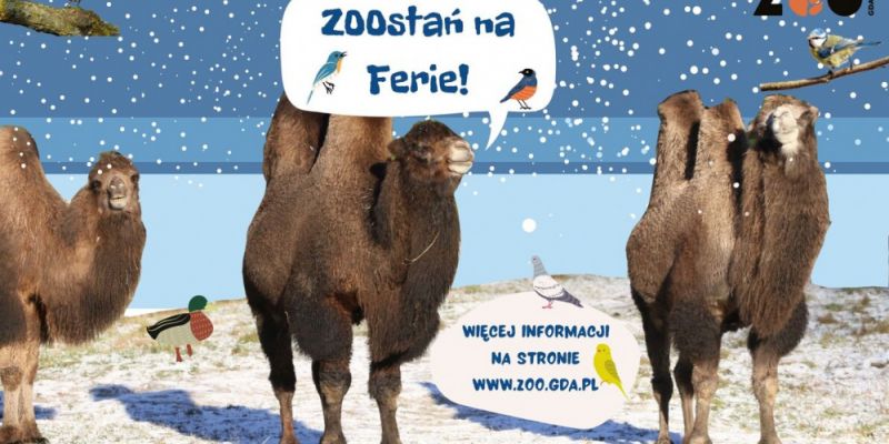 ZOOstań na ferie