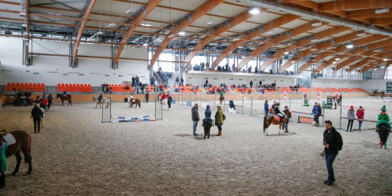 Mikołajkowe Pony Cup