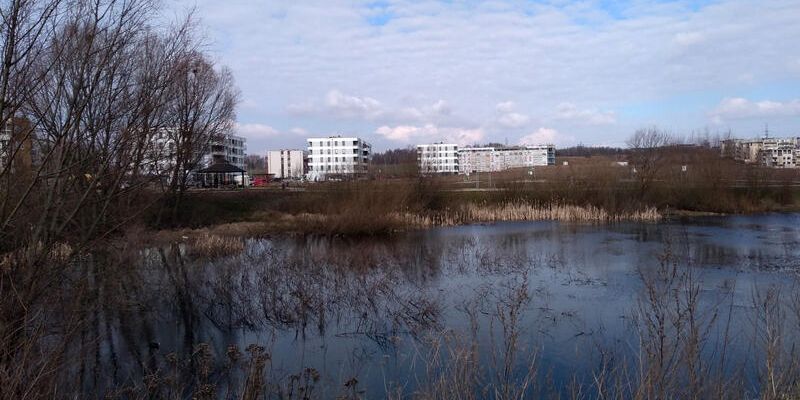 Plac z zielenią, który ma integrować. Propozycja zmian w rejonie Zielonego Stawu i ul. Potęgowskiej