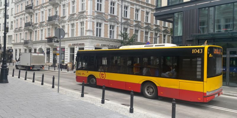 Dęby, wiązy, a może plażowanie?