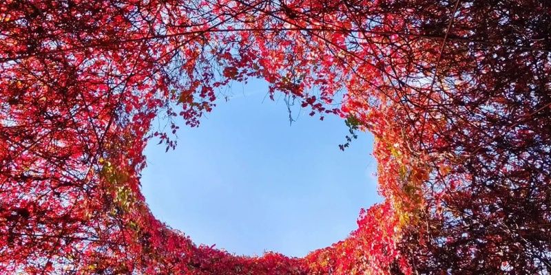 [Fotorelacja] Warszawskie kolory jesieni