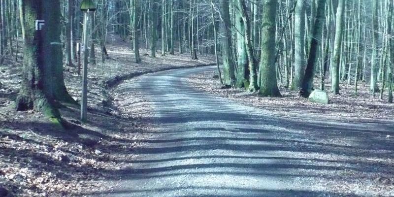 Nowe, naturalne nawierzchnie leśnych szlaków turystycznych