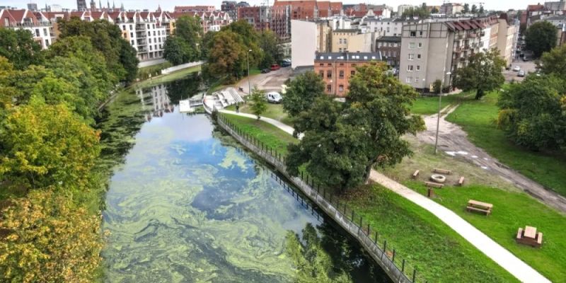 Gdańsk zyskuje nową atrakcję turystyczną: przystań kajakowa nad Motławą