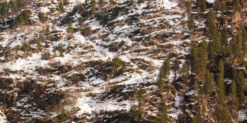 Prognoza pogody na najbliższe dni - śnieg, gołoledź i stopniowe ocieplenie