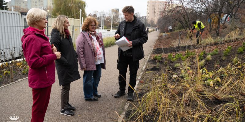 Park Bródnowski rozkwita: na Targówku pojawiają się tysiące nowych krzewów i drzew