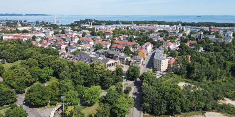 Nowe nazwy ulic i pomnik przyrody w Gdańsku