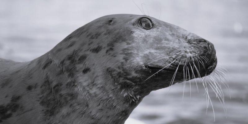 Warszawskie zoo pogrążone w smutku