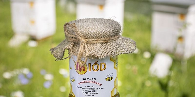 Warszawa chroni pszczoły