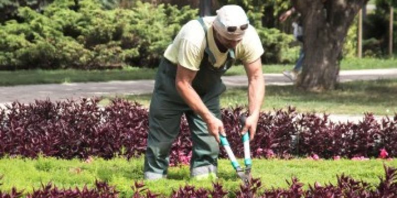 Lokatorzy mieszkań komunalnych mogą odpracować zaległości czynszowe