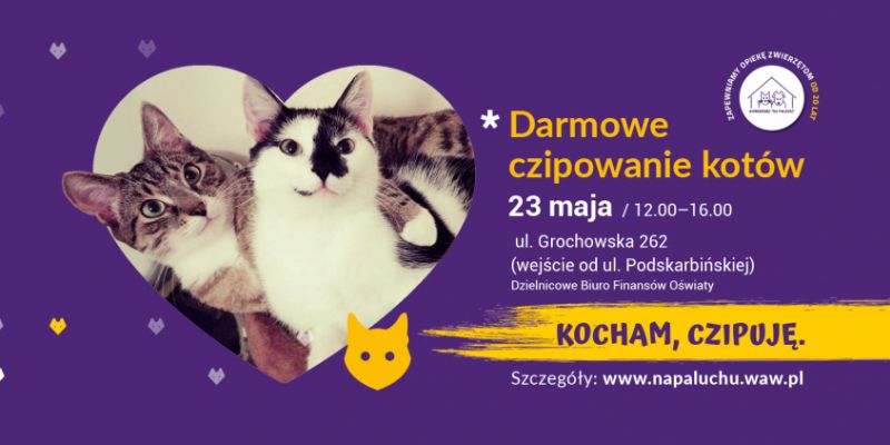 Darmowe czipowanie kotów na Pradze