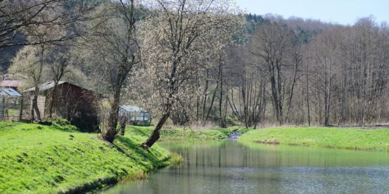 Spotkanie z Bernardem Górnym w Kuźni Wodnej w Oliwie