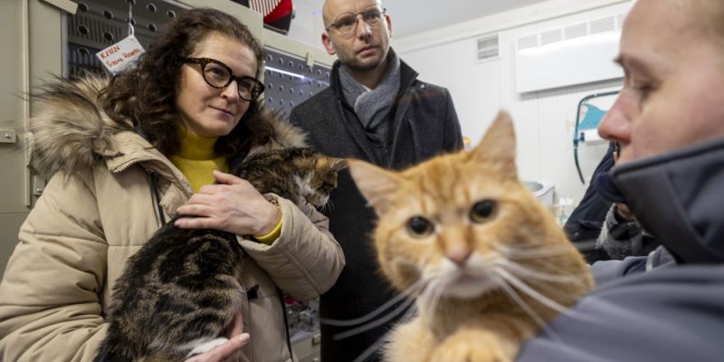 Gdańsk buduje Dom Kota w schronisku Promyk – koty zyskają nowoczesne warunki