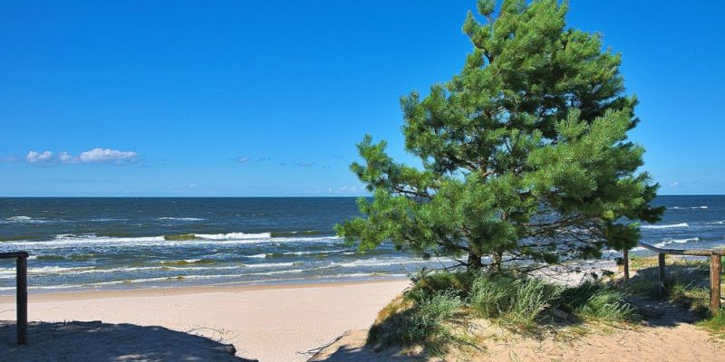 Bałtyk umiera. Kilka faktów na temat Bałtyku i zmian klimatu