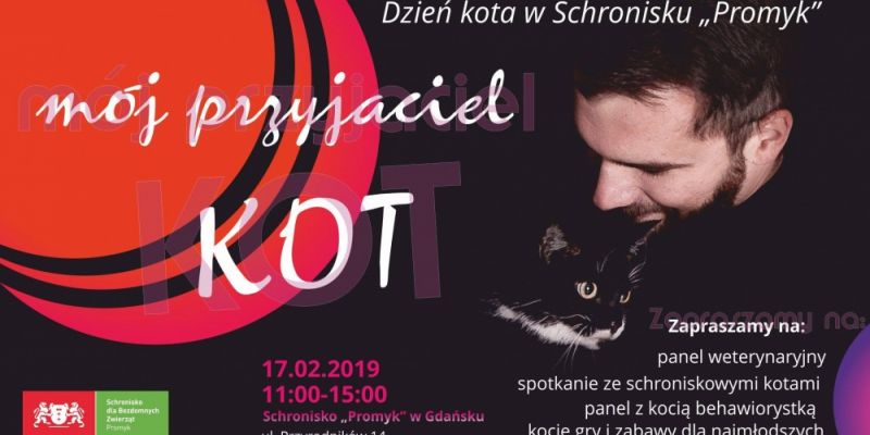 Mój przyjaciel kot - to nasze hasło na tegoroczną edycję  Międzynarodowego Dnia Kota.