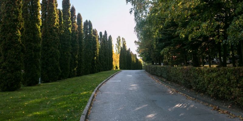 Wydłużenie trasy linii 195: lepszy dojazd do bramy zachodniej Cm. Łostowickiego