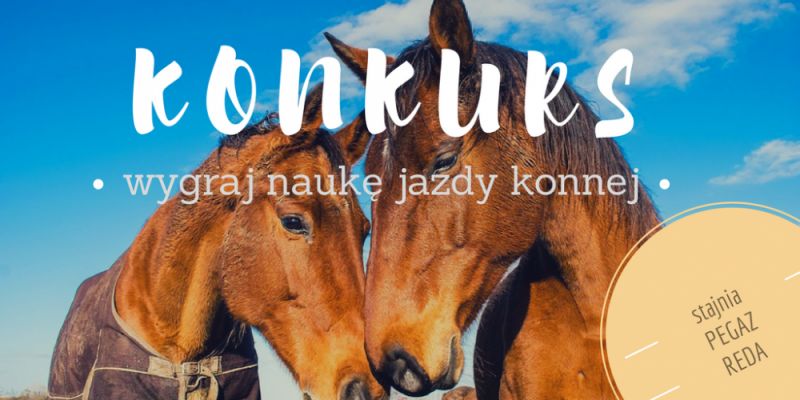 Wygraj lekcję jazdy konnej!