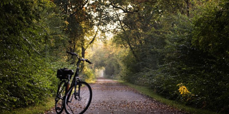Rowerowy Maj 2026: ruszyły zapisy do dziewiątej edycji kampanii