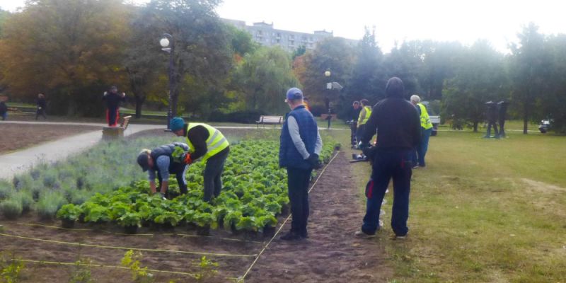 Park Bródnowski staje się rajskim ogrodem. Nowe rośliny i krzewy upiększają park