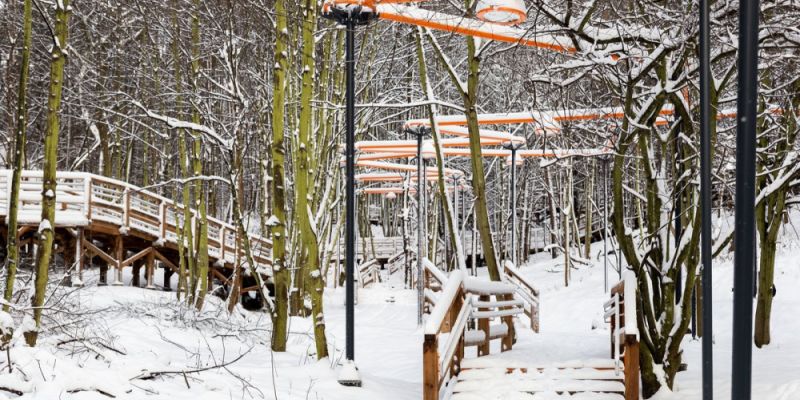 Gdynia: mieszkańcy współtworzą przyszłość Parku Leśnego na Oksywiu