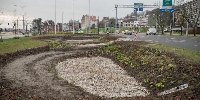 Śródmieście. 14. ogród deszczowy gotowy. Zgromadzi ponad 140 metrów sześciennych wody