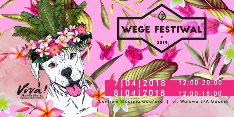 Wege Festiwal Trójmiasto