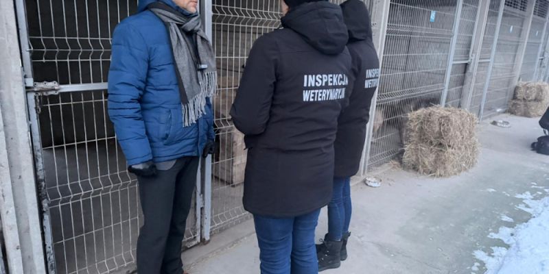 Mrozy na Mazowszu. Wojewoda zlecił dodatkowe kontrole schronisk dla zwierząt