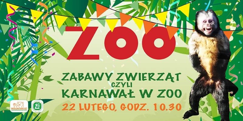 Zabawy zwierząt, czyli karnawał w ZOO