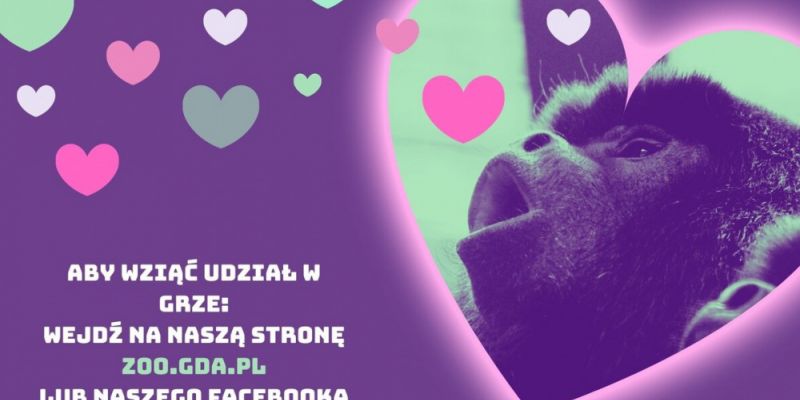 Miłosny weekend w Gdańskim Ogrodzie Zoologicznym